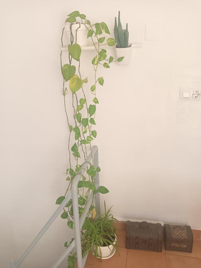 El Terrat De La Tecla - Duplex Casc Antic Appartement Tarragona