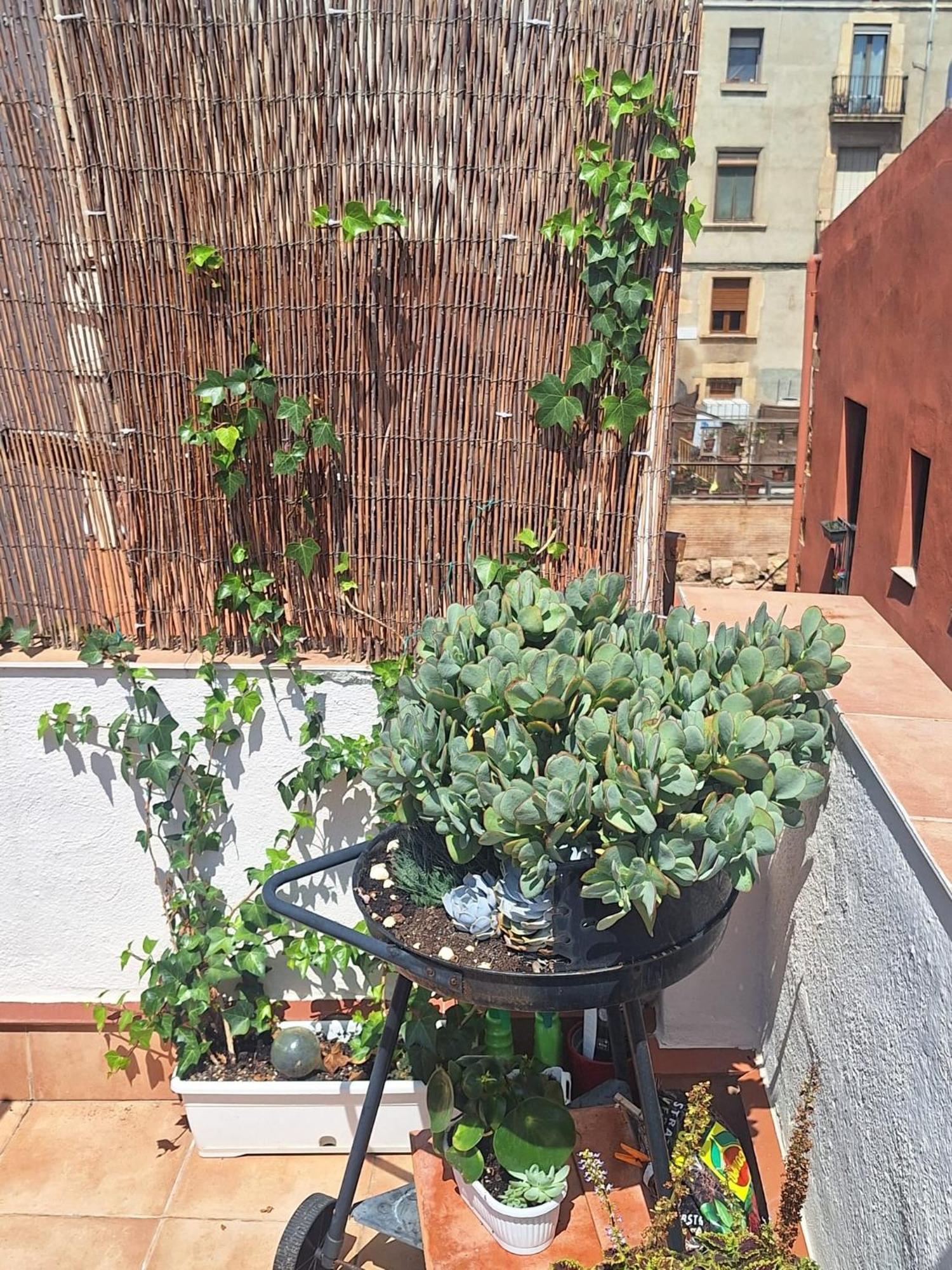 El Terrat De La Tecla - Duplex Casc Antic