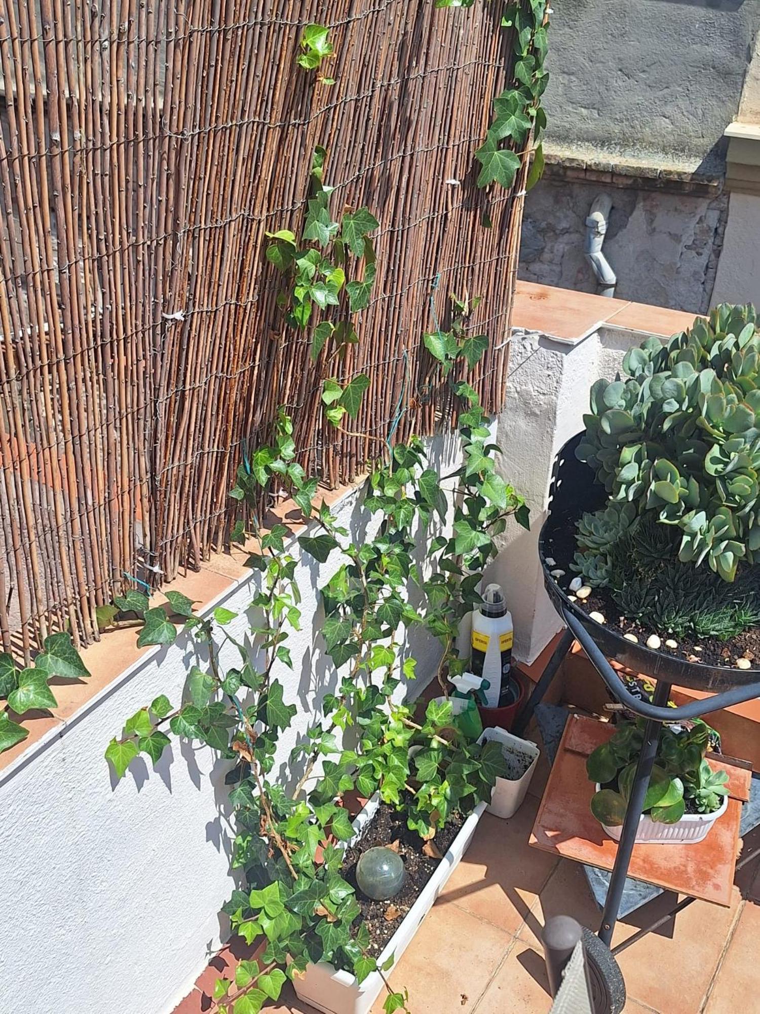 El Terrat De La Tecla - Duplex Casc Antic Appartement